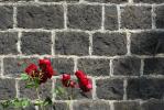 Rosewalled